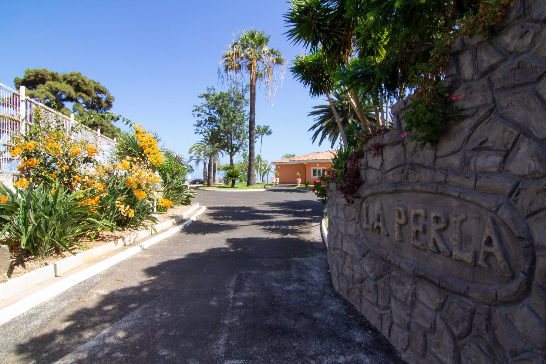 The Entire Estate 17